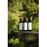 Dušo gelis WILD ROOTS, 300 ml