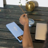 Smilkalai "Bluebird", 40 vnt